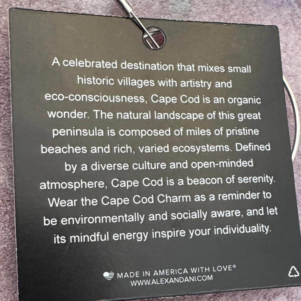 Alex and Ani Silver Cape Cod Charm Bracelet - Picture 3 of 3